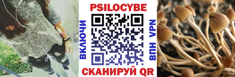 Псилоцибиновые грибы GOLDEN TEACHER купить закладку сайты даркнета какой сайт Люберцы